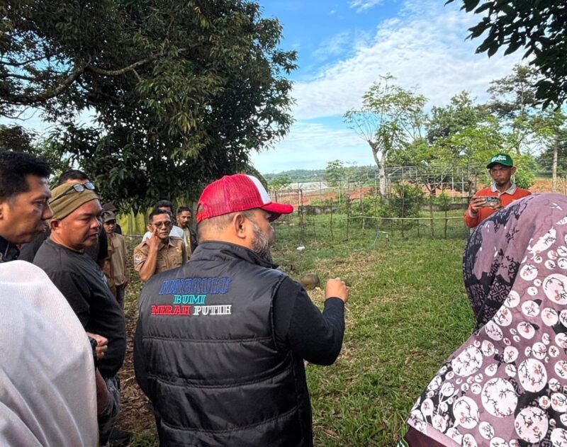 Gubernur Bengkulu Helmi Hasan saat meninjau lahan UPTD Benih Induk di Desa Talang Aling Bengkulu Tengah, Selasa (30/9/25)(foto: Ardiyantonarasidemokrasi.com/)
