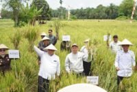 Ketua Dewan Perwakilan Daerah Republik Indonesia (DPD RI) Sultan B Najamudin  saat menyerahkan langsung bantuan benih jagung unggul dan alat mesin pertanian (alsintan) kepada kelompok tani di Kecamatan Lubuk Pinang, Kabupaten Muko-Muko, Rabu pagi (22/10/25), (foto: Tommy Agung Raharjonarasidemokrasi.com/)