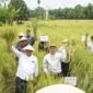 Ketua Dewan Perwakilan Daerah Republik Indonesia (DPD RI) Sultan B Najamudin  saat menyerahkan langsung bantuan benih jagung unggul dan alat mesin pertanian (alsintan) kepada kelompok tani di Kecamatan Lubuk Pinang, Kabupaten Muko-Muko, Rabu pagi (22/10/25), (foto: Tommy Agung Raharjonarasidemokrasi.com/)