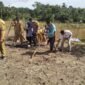 Desa Lubuk Sirih Ilir, Kecamatan Manna, Kabupaten Bengkulu Selatan, saat melaksanakan kegiatan penanaman jagung di lahan seluas satu hektare, Selasa (28/10/2025). (foto: Sapriyansyahnarasidemokrasi.com/)