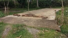 Kondisi jalan rabat beton yang bersumber dari Dana Desa (DD) tahun anggaran 2025 di Desa Sukarami, Kecamatan Kaur Tengah, Kabupaten Kaur, Kamis (30/10/25). (foto: Fraky Yudiansyahnarasidemokrasi.com/)