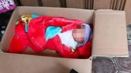 Warga Desa Taba Tebelet, Kecamatan Kepahiang, Kabupaten Kepahiang, Provinsi Bengkulu, digegerkan oleh penemuan seorang bayi perempuan di dalam kardus pada Senin, (6/10/25). (foto: Riannarasidemokrasi.com/)