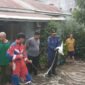 Tim Pemadam Kebakaran (Damkar) Kota Bengkulu bergerak cepat mengevakuasi seekor ular piton sepanjang dua meter yang masuk ke rumah warga di Jalan Mangga, Kelurahan Lingkar Timur, Kecamatan Singaran Pati, Rabu pagi (8/10/25).(foto: Ardiyantonarasidemokrasi.com/)