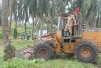 PT Bio Nusantara Teknologi langsung mengeksekusi sawit di bantaran Sungai Lemau sebagai wujud komitmen investasi hijau dan konservasi lingkungan di Bengkulu