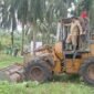 PT Bio Nusantara Teknologi langsung mengeksekusi sawit di bantaran Sungai Lemau sebagai wujud komitmen investasi hijau dan konservasi lingkungan di Bengkulu