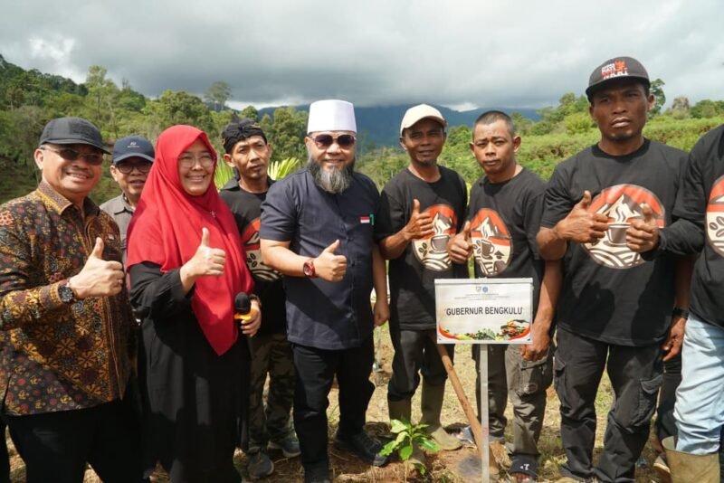 Program Kopi Merah Putih memberi harapan baru bagi petani kopi Lebong untuk tidak lagi menjual mentah dan memperoleh nilai tambah dari hasil kebun mereka.