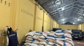 Polisi mengungkap dugaan penyelewengan distribusi 90 ton pupuk bersubsidi di Bengkulu. Dua tersangka ditetapkan dan terancam hukuman lima tahun penjara.