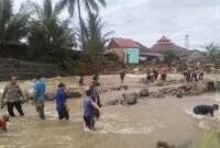 Bupati Lebong soroti dugaan hutan gundul sebagai penyebab banjir. Pemerintah siapkan langkah reboisasi untuk mencegah bencana berulang.