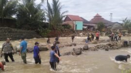 Bupati Lebong soroti dugaan hutan gundul sebagai penyebab banjir. Pemerintah siapkan langkah reboisasi untuk mencegah bencana berulang.