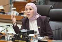Anggota Komisi V DPR RI, Erna Sari Dewi-- Foto: IST//MBG.