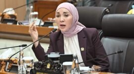 Anggota Komisi V DPR RI, Erna Sari Dewi-- Foto: IST//MBG.