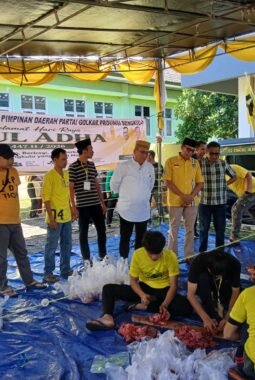 Bahlil Lahadalia Kurban Sapi Jumbo 500 Kilo di Bengkulu
