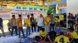 DPD Partai Golkar Provinsi Bengkulu menyembelih lima sapi dan satu kambing pada Iduladha 2026. Sapi kurban 500 kilogram titipan Bahlil Lahadalia menjadi perhatian warga.