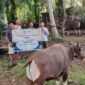 PT SIL dan PT Bio Nusantara Teknologi memperkuat hubungan dengan masyarakat melalui program kurban Idul Adha 2026 dengan menyalurkan 43 sapi dan 12 kambing ke desa penyangga.