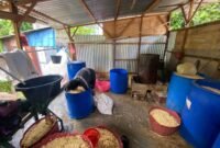 Perajin tempe di Bengkulu memilih mempertahankan harga jual dengan mengurangi ukuran produk setelah harga kedelai naik menjadi Rp850 ribu per karung. (Senin-05-06-2026)-- FOTO: Handi//MBG.