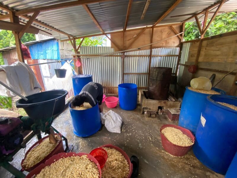 Perajin tempe di Bengkulu memilih mempertahankan harga jual dengan mengurangi ukuran produk setelah harga kedelai naik menjadi Rp850 ribu per karung. (Senin-05-06-2026)-- FOTO: Handi//MBG.