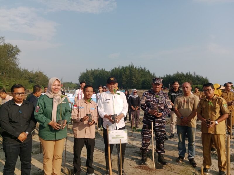 Pemkab Bengkulu Tengah menanam 1.000 bibit mangrove untuk memperkuat perlindungan pesisir dari abrasi. Program dilakukan bertahap dan melibatkan pemerintah, swasta, serta masyarakat.